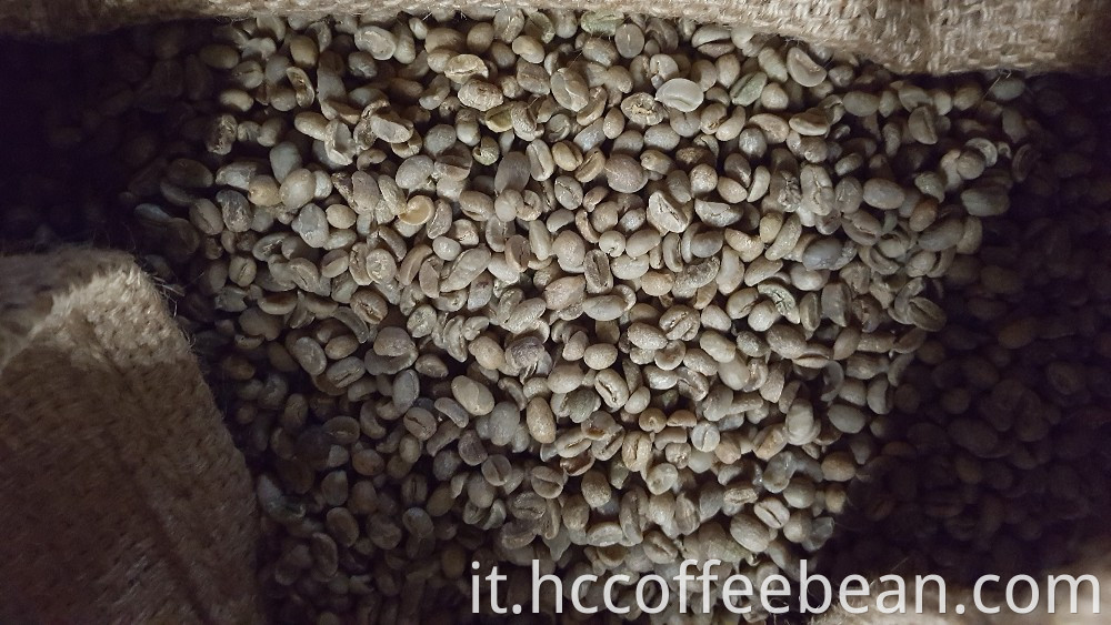 Chicchi di caffè Colombia, chicchi di caffè arabica, chicchi di caffè verde, fabbrica di caffè